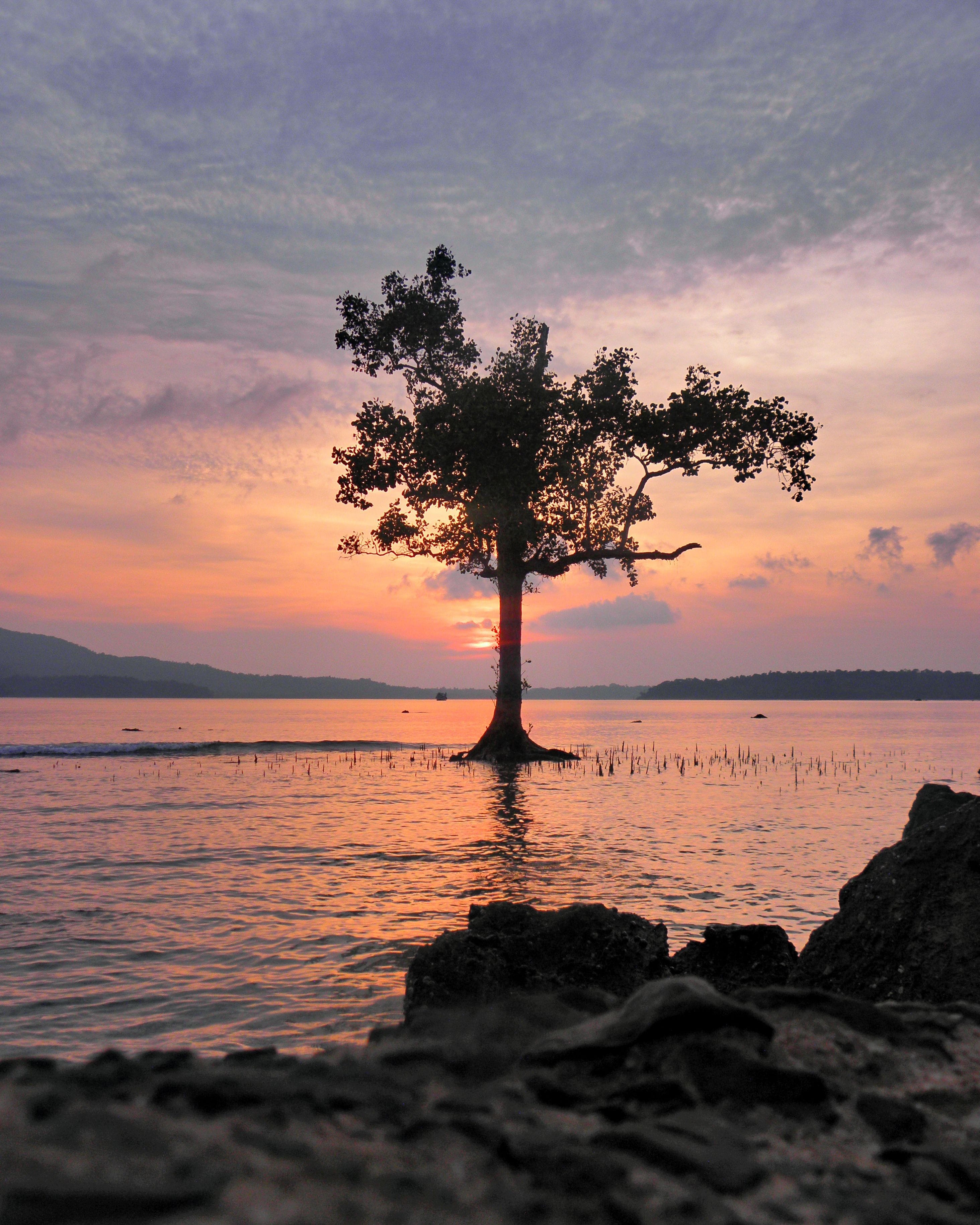 andaman chidiyatapu sea shore sunset
