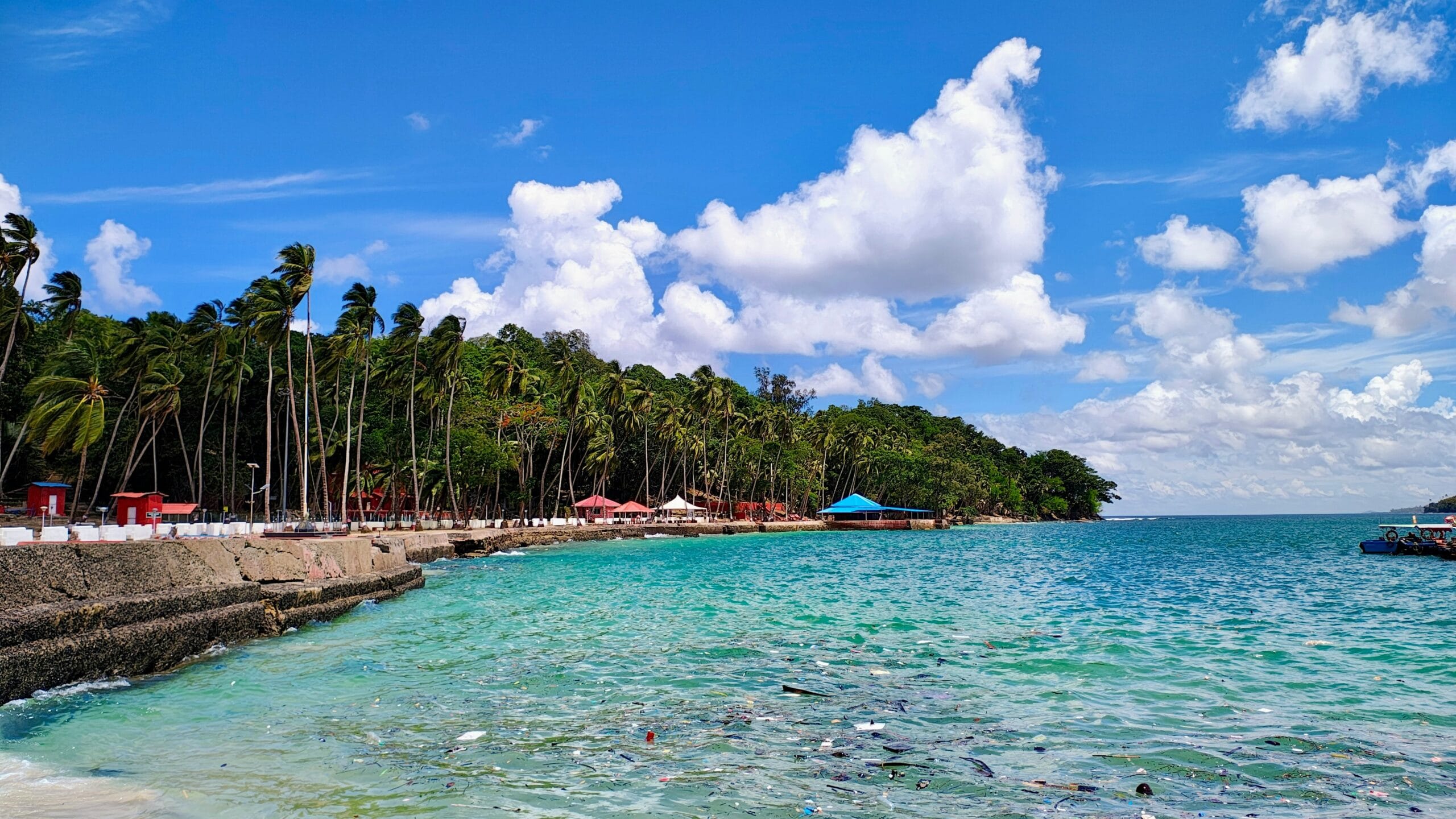 andaman subhash chandra bose island seashore